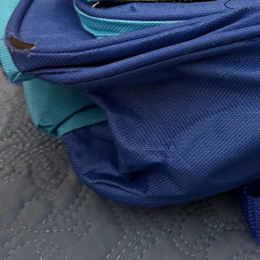 Blue Disney Prosport Backpack with Minnie and Mickey